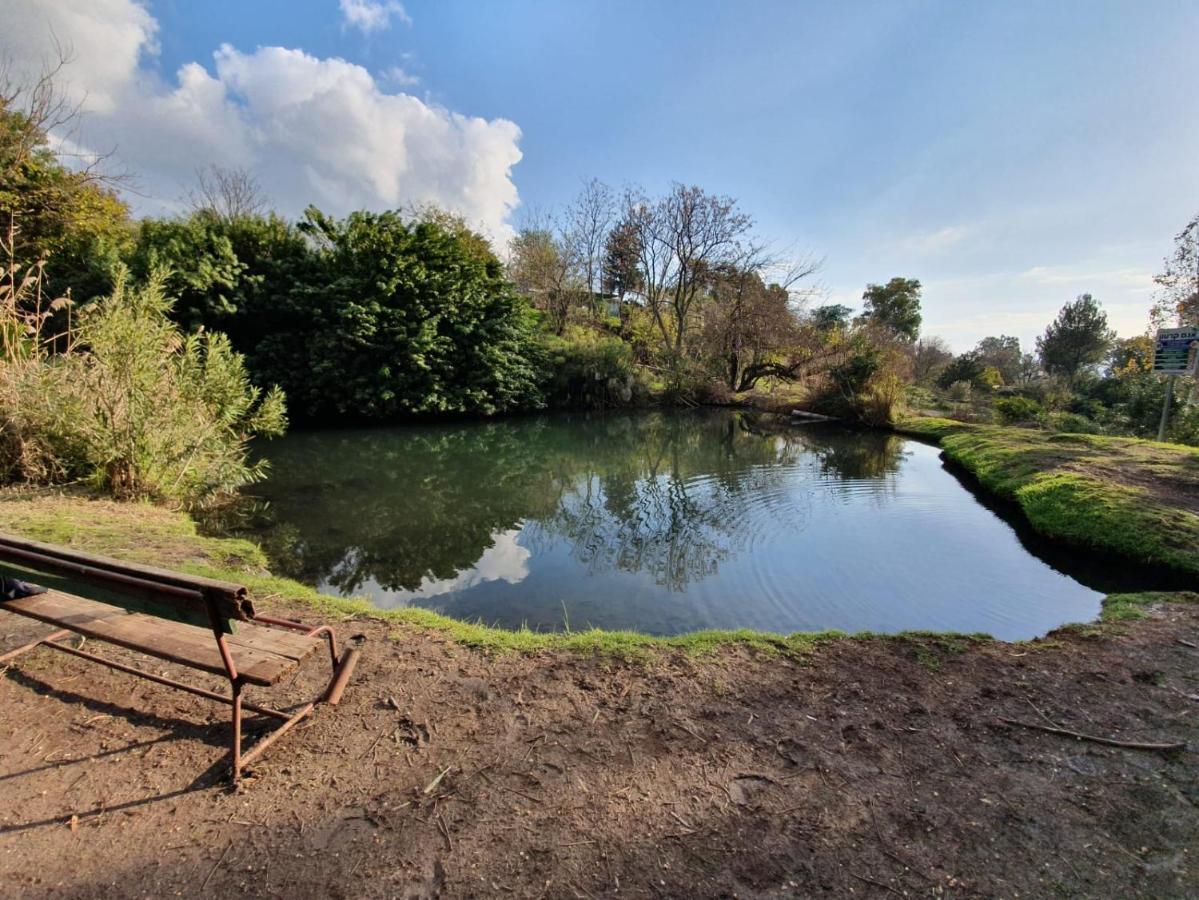 שפיגל קו ראשון לנחל-Hagoshrim,הגושרים Daire Dış mekan fotoğraf